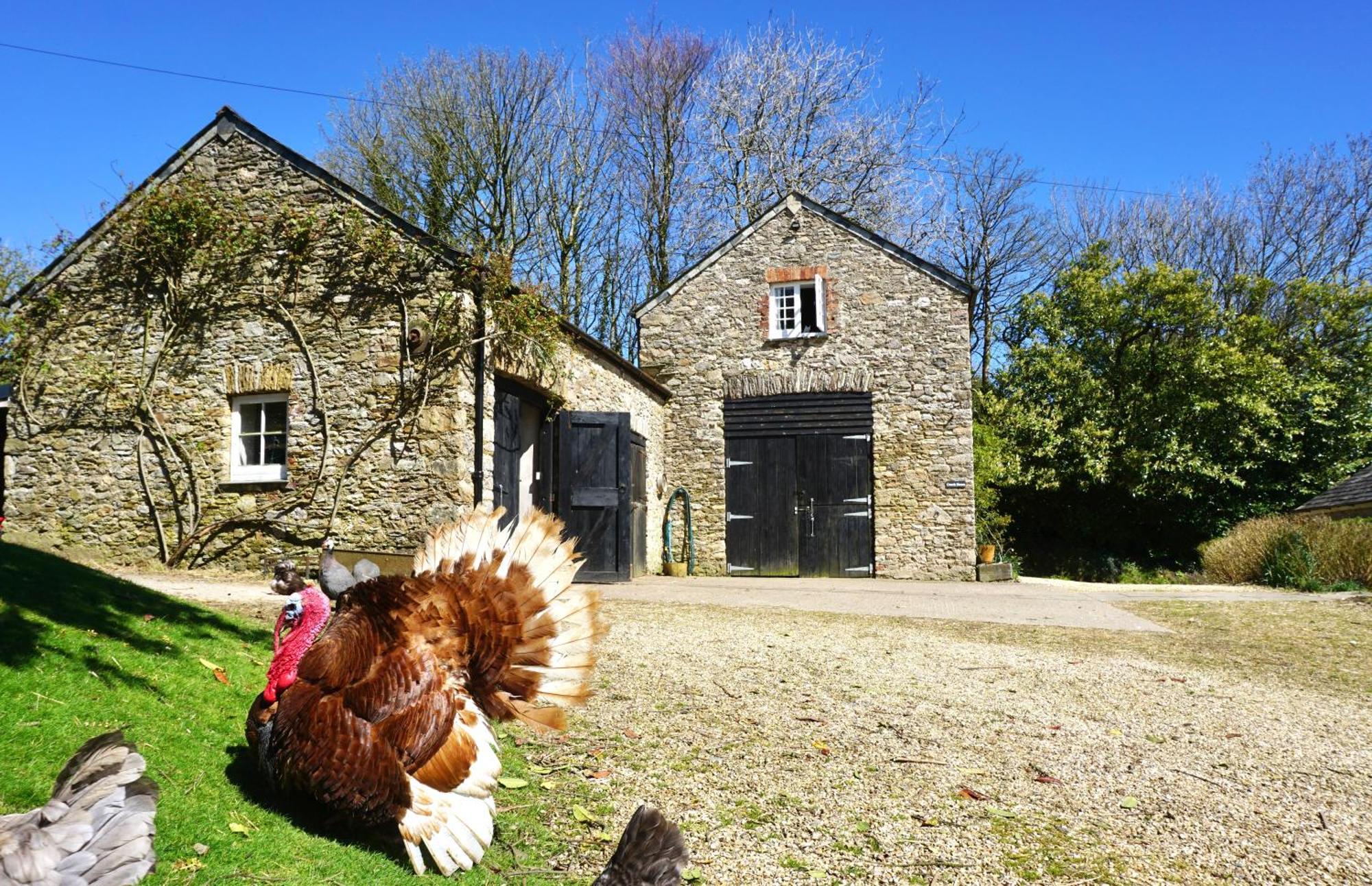 Beachborough Country House Barnstaple Luaran gambar